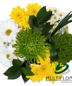 multiflora.com mc green combo bqt ub00070233 a