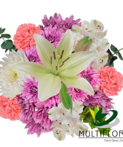 multiflora.com pastel perfection ub00070372 b