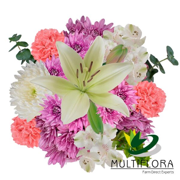 multiflora.com pastel perfection ub00070372 b