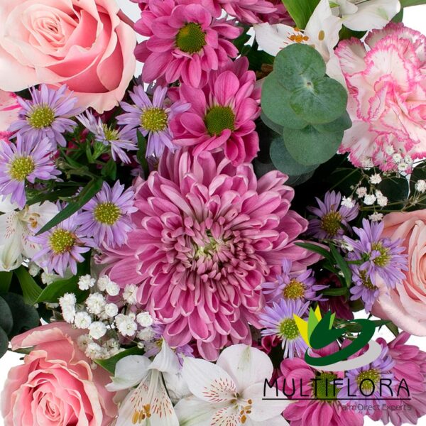 multiflora.com pink poetic ub00070360 a