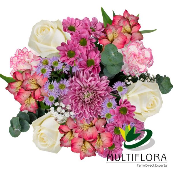 multiflora.com pink poetic ub00070362 b