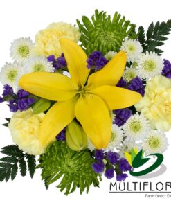 multiflora.com plucky combo bqt ub00070247 b