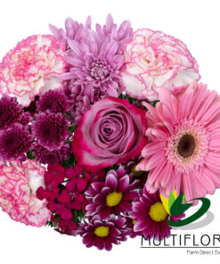 multiflora.com pretty in pink ub00070377 a