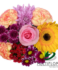 multiflora.com pretty in pink ub00070378 b 1 1