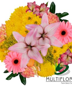 multiflora.com sweet success ub00070364 b 1