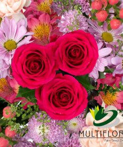 multiflora.com sweet success ub00070366 a