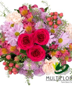 multiflora.com sweet success ub00070366 a