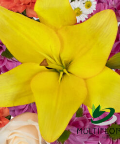 multiflora.com the flower of love ub00070379 a 1 1