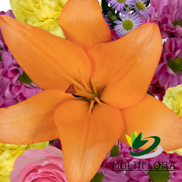 multiflora.com the flower of love ub00070380 b