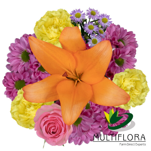 multiflora.com the flower of love ub00070380 b 1 1