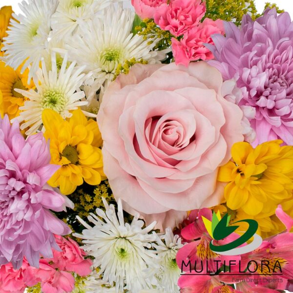 multiflora.com blooming ub00070361