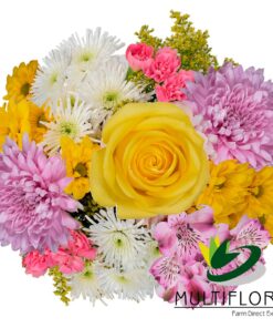 multiflora.com blooming ub00070418