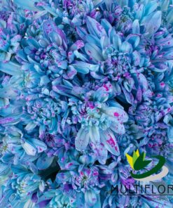 multiflora.com blue confetti cushion ub00070715