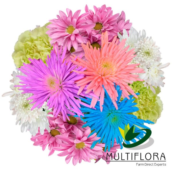 multiflora.com candy flowers ub00070470