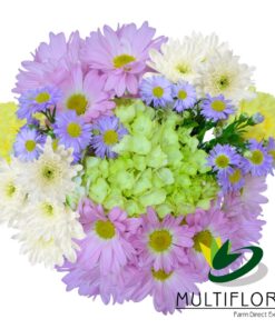 multiflora.com cotton bqt ub00070457