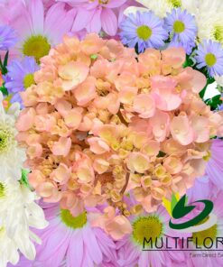 multiflora.com cotton bqt ub00070462