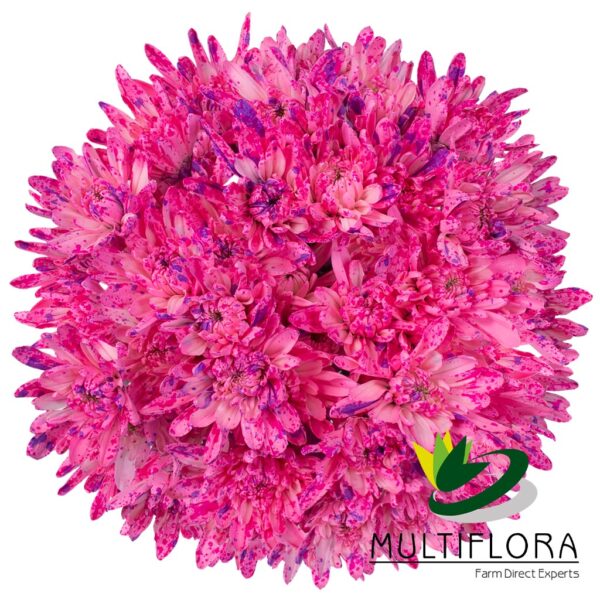 multiflora.com dark pink confetti cushion ub00070714