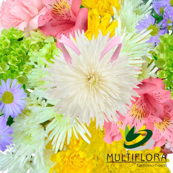 multiflora.com easter bunny ub00070458