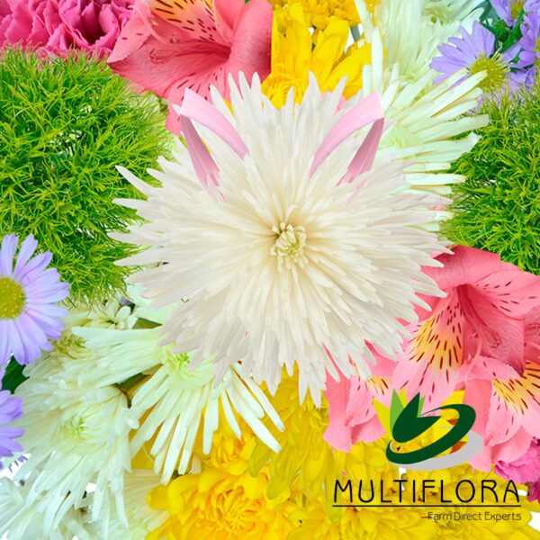 multiflora.com easter bunny ub00070471