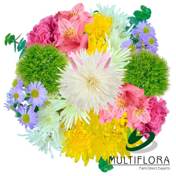 multiflora.com easter bunny ub00070471