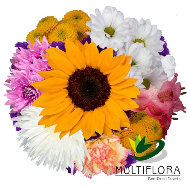 multiflora.com fresh blooms ub00070391