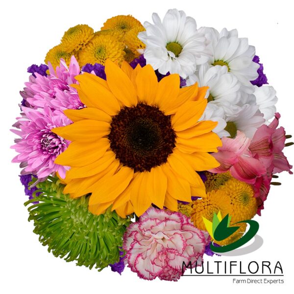 multiflora.com fresh blooms ub00070429