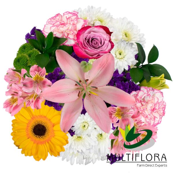 multiflora.com pastel colors ub00070427