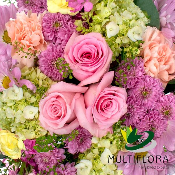 multiflora.com soft and sweet ub00070397