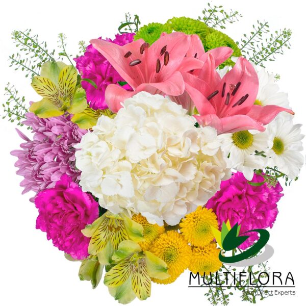 multiflora.com spring blossom ub00070393