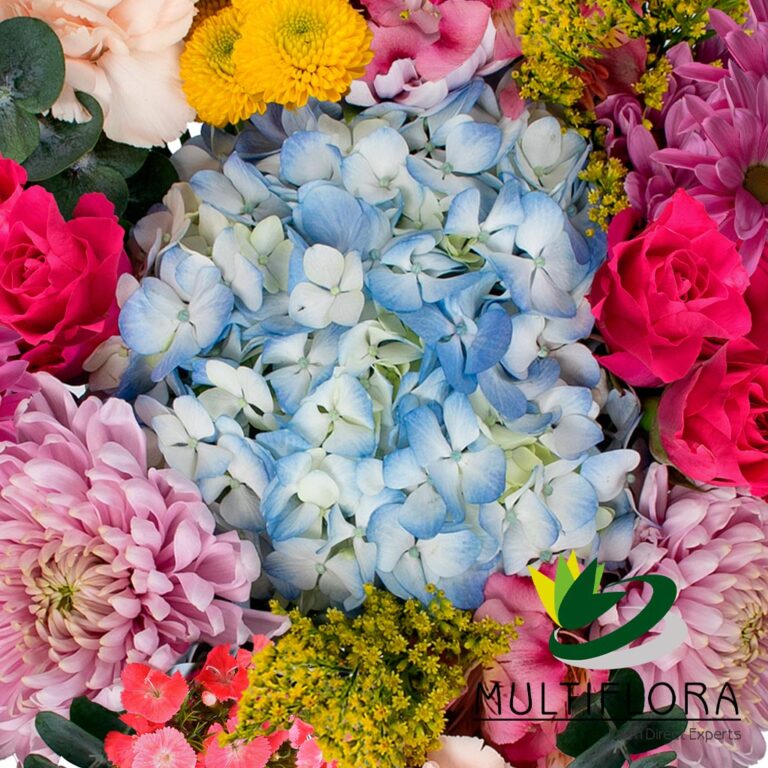 Spring Flowers Vistaflor