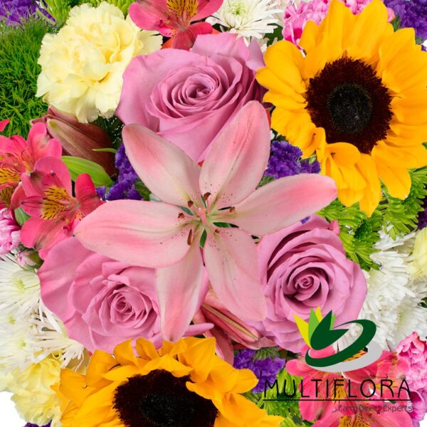multiflora.com spring miracles ub00070381