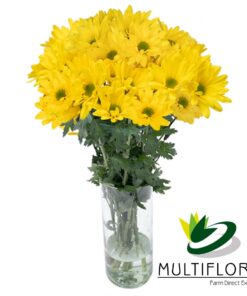 multiflora.com sunagua sunagua mf0