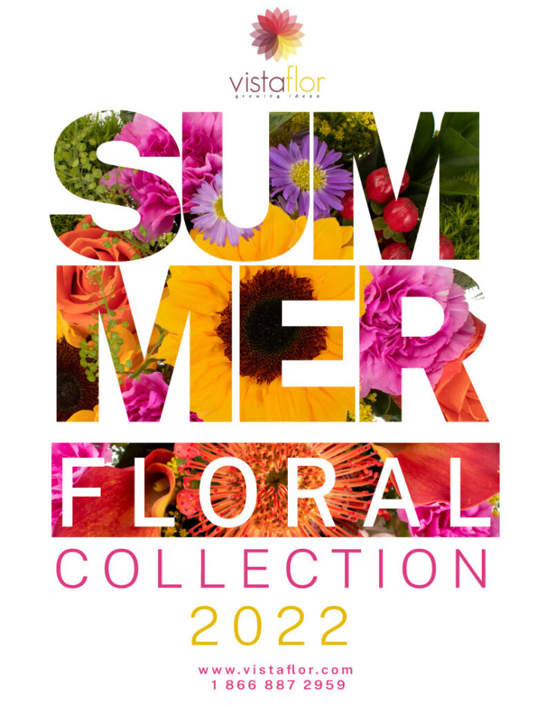 www.vistaflor.com catalogo summer vf