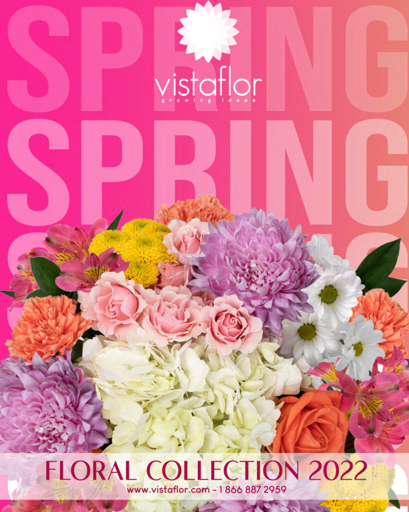 www.vistaflor.com spring floral collection 2022 vf