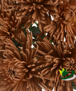 Painted | Dyed Flowers