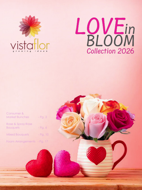 www.vistaflor.com catalogue catalogue