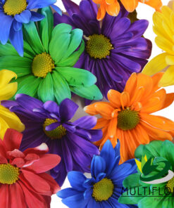 Painted | Dyed Flowers